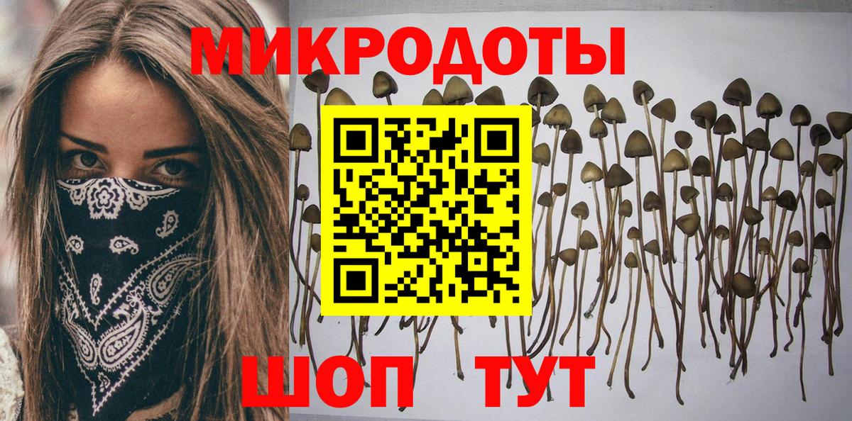 Галлюциногенные грибы ЛСД  купить наркотик  Вход с VPN  Волхов  Псилоцибиновые грибы Cubensis 